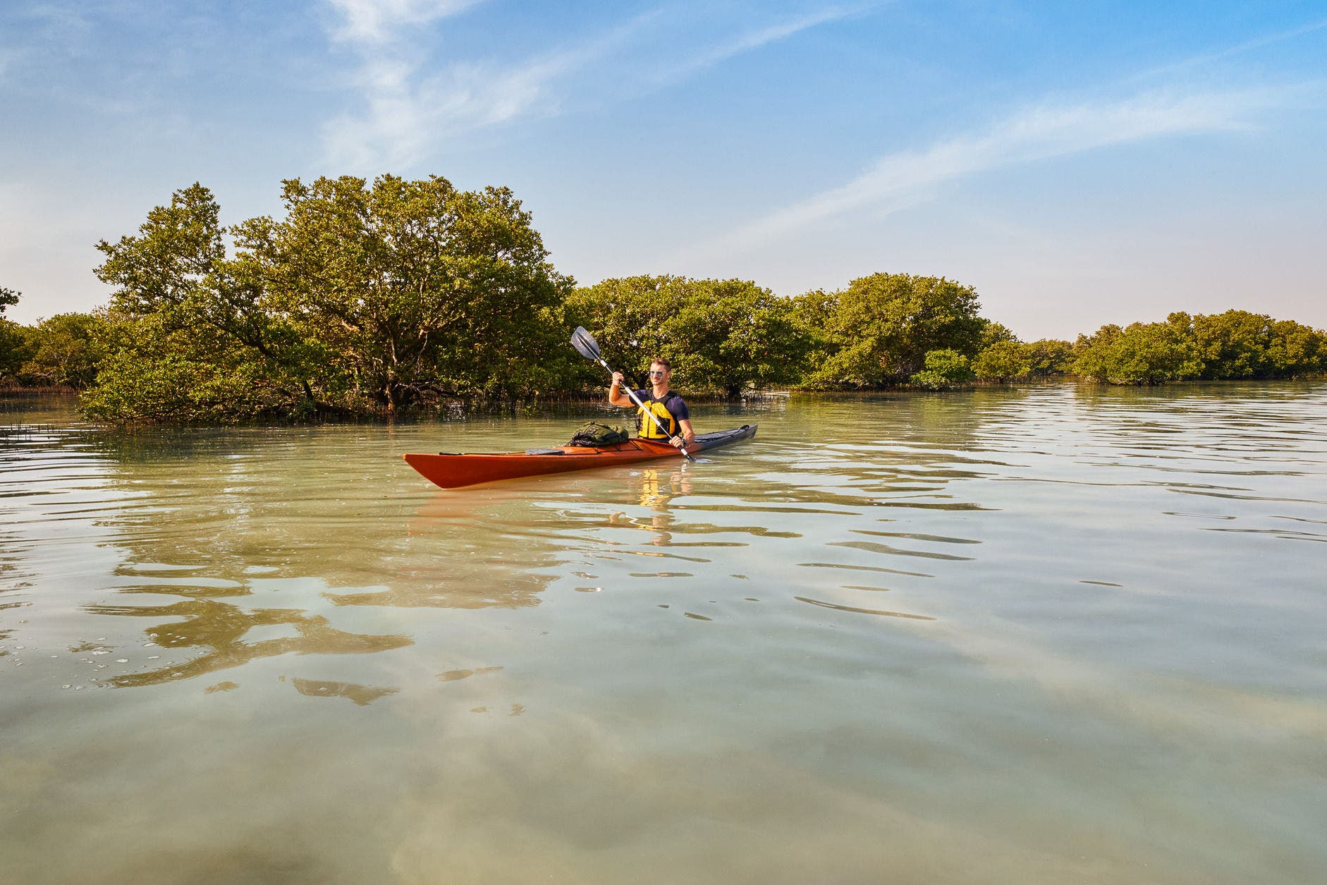 Mangroves of Qatar