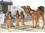 Qatar Camel Festival 2025